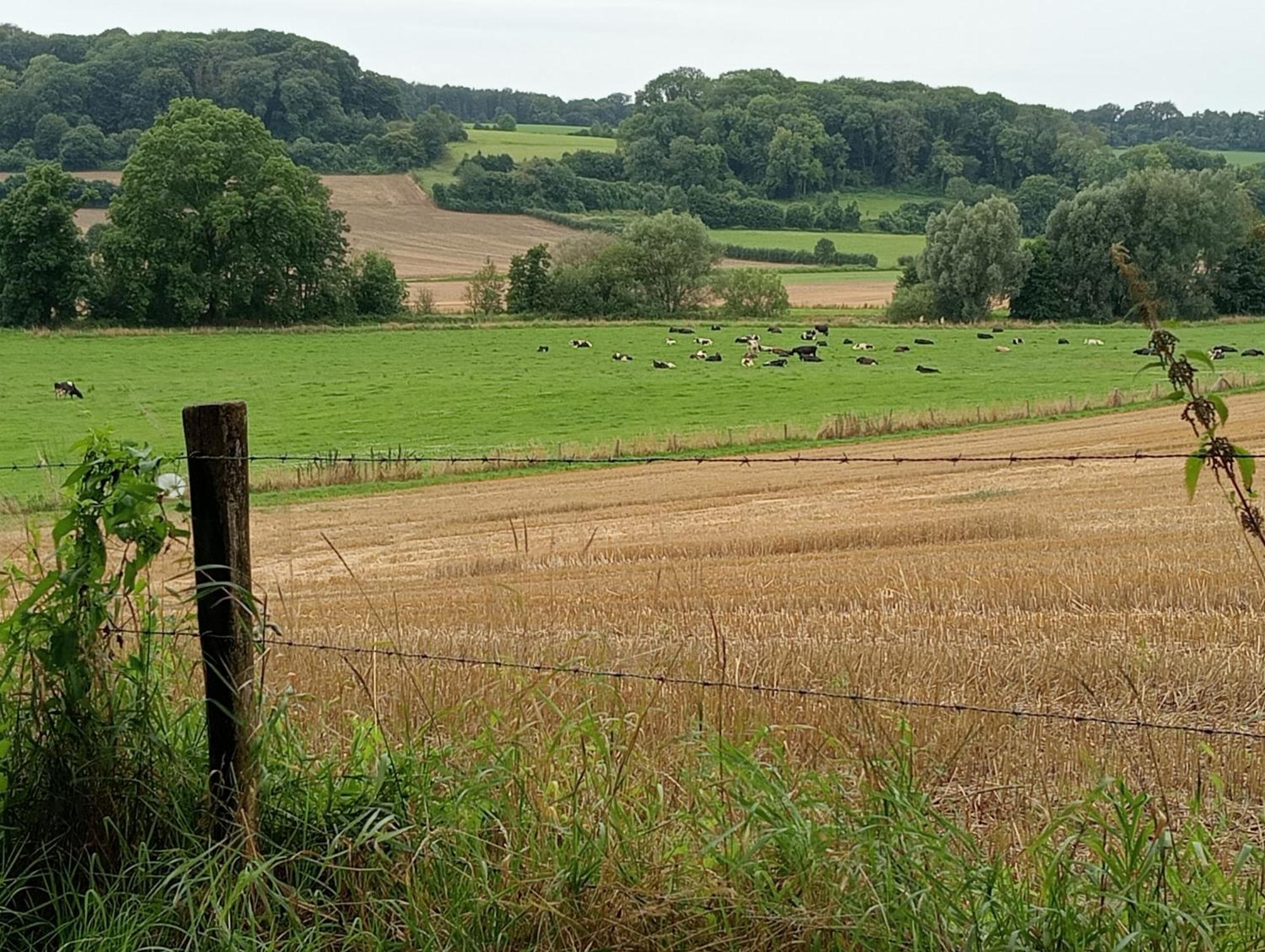 Bnb Het Geluk Van Limburg Mechelen Eksteriør bilde